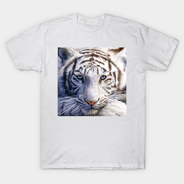 White Tiger T-Shirt by David Penfound Artworks